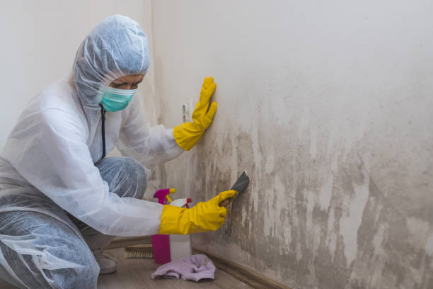 Best Forensic Mold Investigation  in Gillette, WY